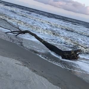 Meet your Posher, Amalea